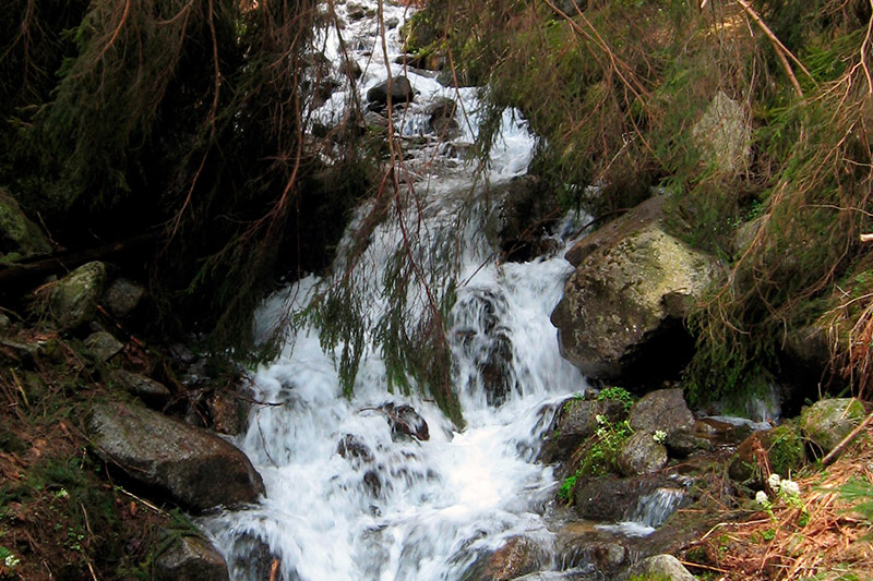 Gästefotos vom Gasthof Tiefenbrunn